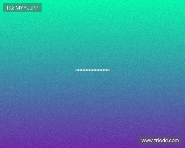 维萨预计将于周二回归布伦特福德训练并恢复备战