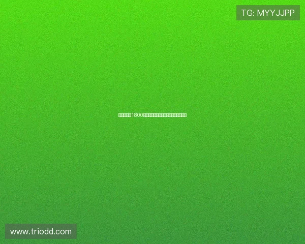 西汉姆联以1800万镑转会费签下莱斯特城门将赫尔曼森